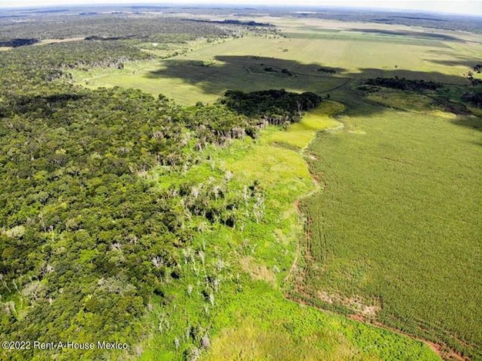Terreno en Venta para Inversión Agrícola GIS. 22-4543 - 1