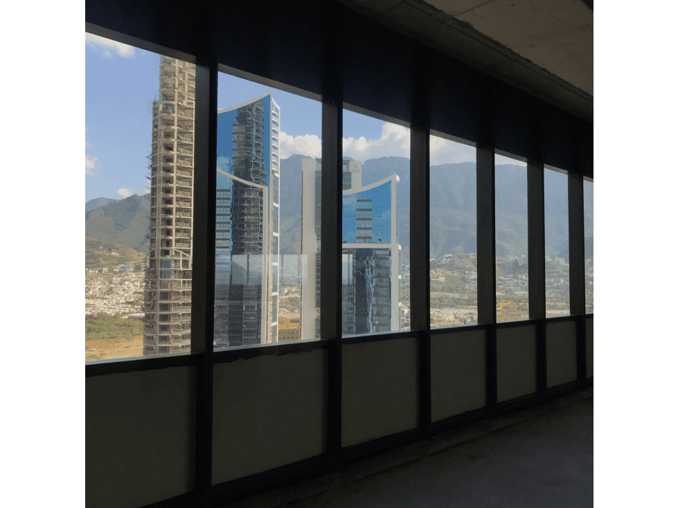 Oficinas y Locales en Renta y Venta San Pedro Lázaro Cárdenas - 1