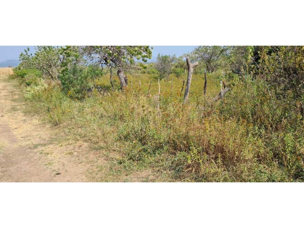 EN VENTA DOS HECTARIAS EN OCUITUCO - 1