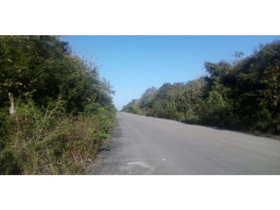 317 Hectáreas Mahahual (carretera Cafetal) - 1