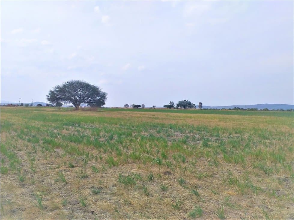 6 HECTAREAS EN VENTA EN CHARCO BLANCO,CORREGIDORA,QRO. - 1
