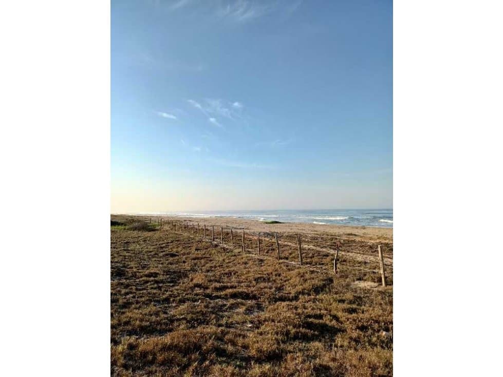 Cerro hermoso/12,800 m²/a 50 metros de playa y lago de agua pluvial - 1