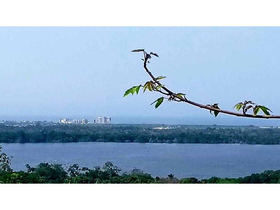 Hectáreas en venta con vista al mar y a la laguna de chacagua. - 1