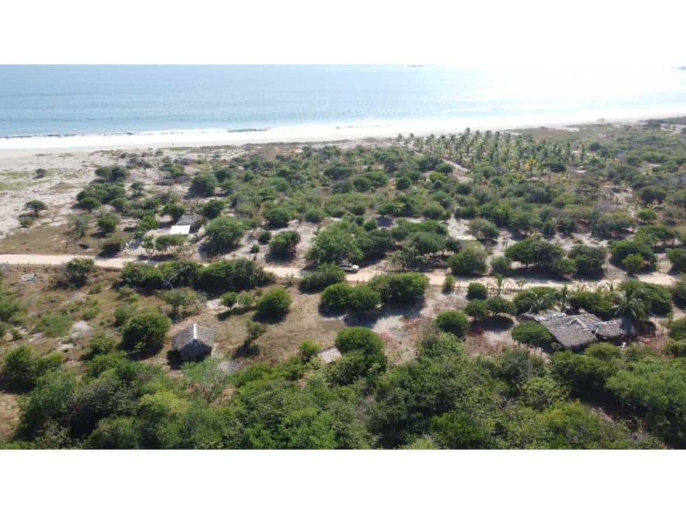 LA ISLA DE CHACAHUA/450 M2 SEGUNDA LÍNEA DE PLAYA - 1