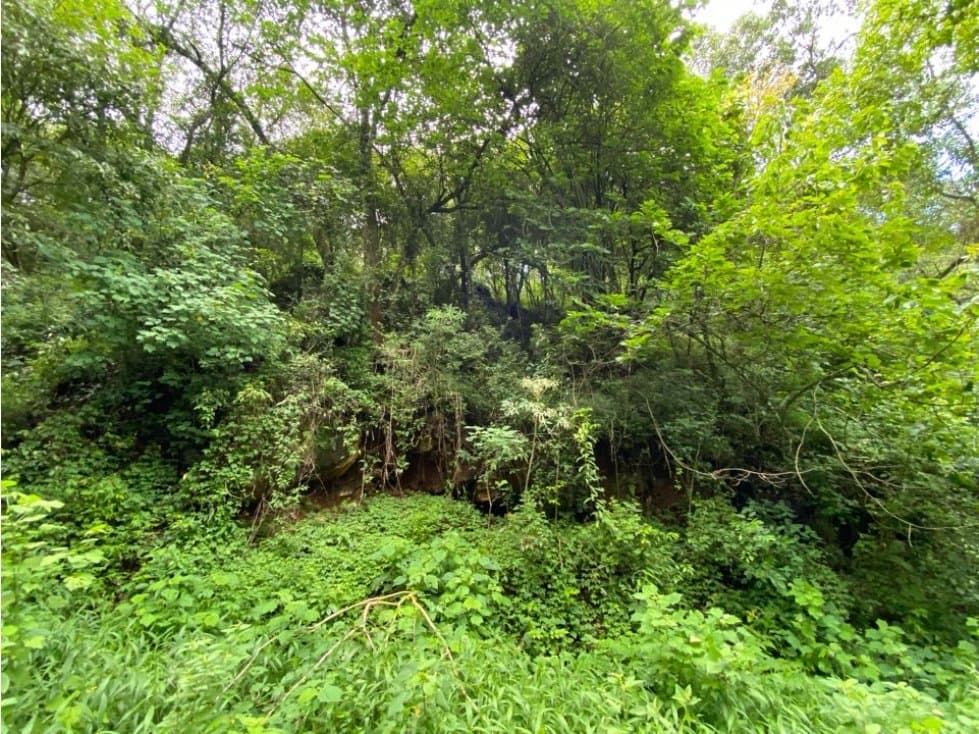 LOTE EN VENTA EN EL CENTRO DE ?TEMASCALTEPEC? - 1