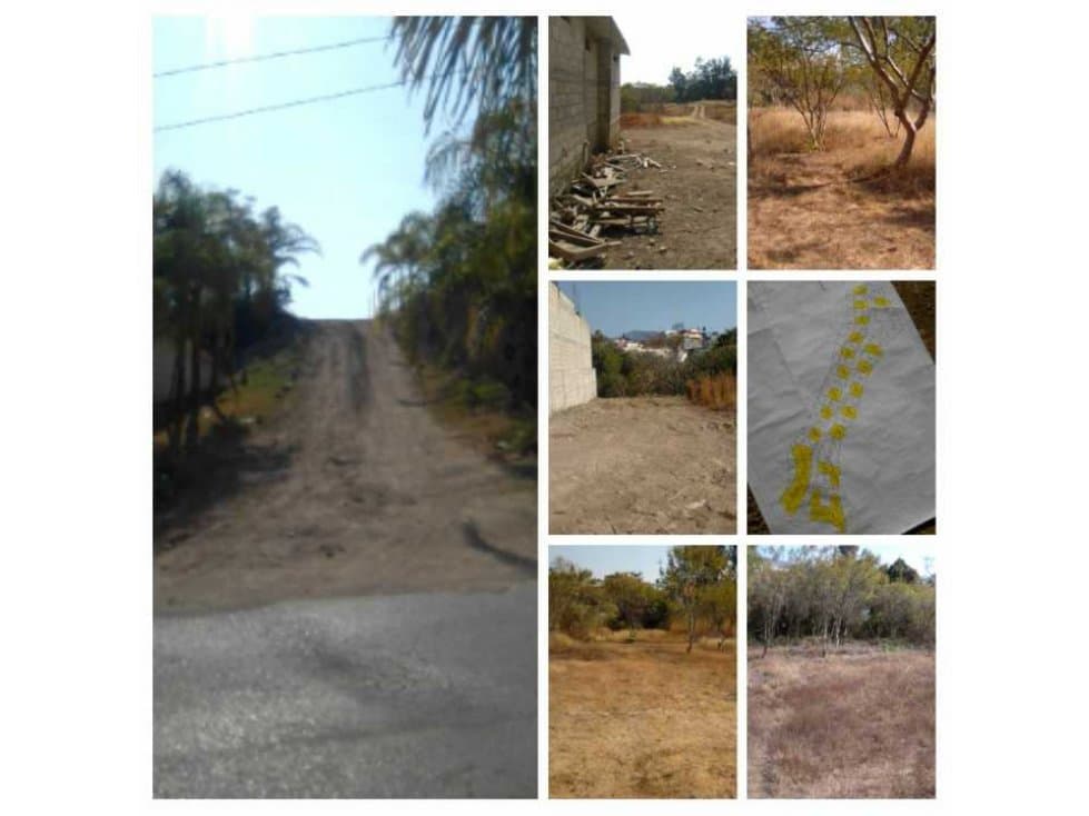 Lotes a 700 metros del centro de Tonatico - 1