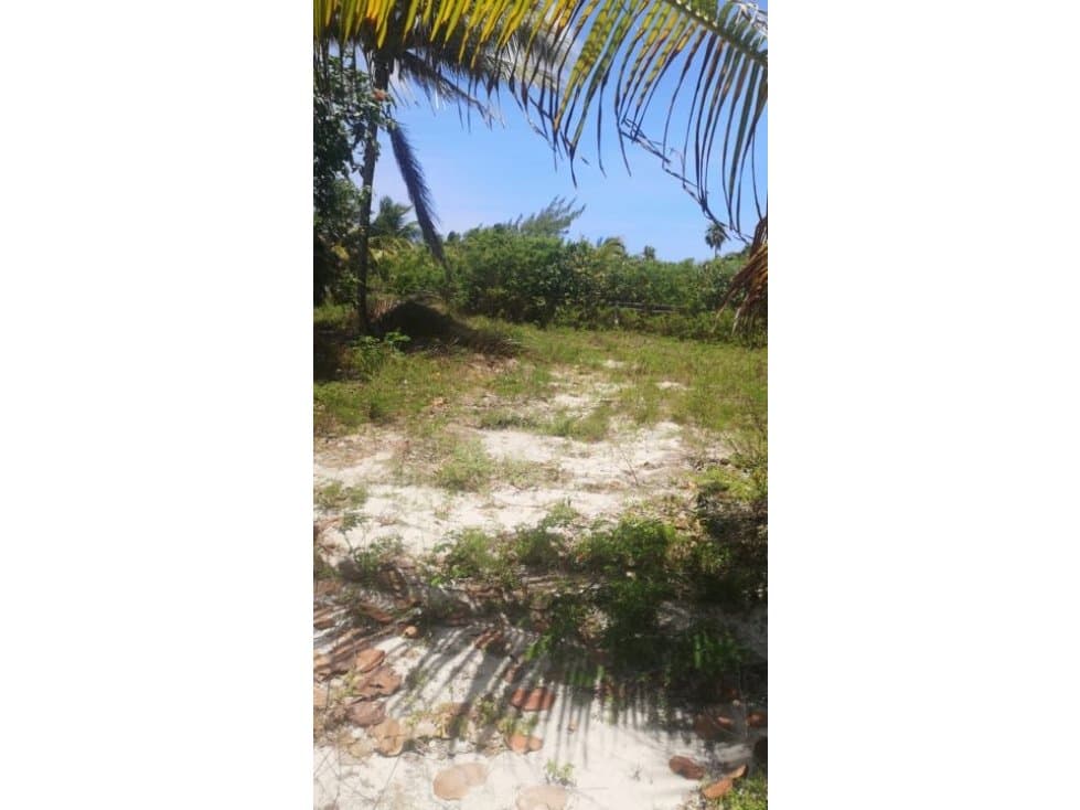 Mahahual 502,500 m2(150 ML x 3350 de fondo ) - 1