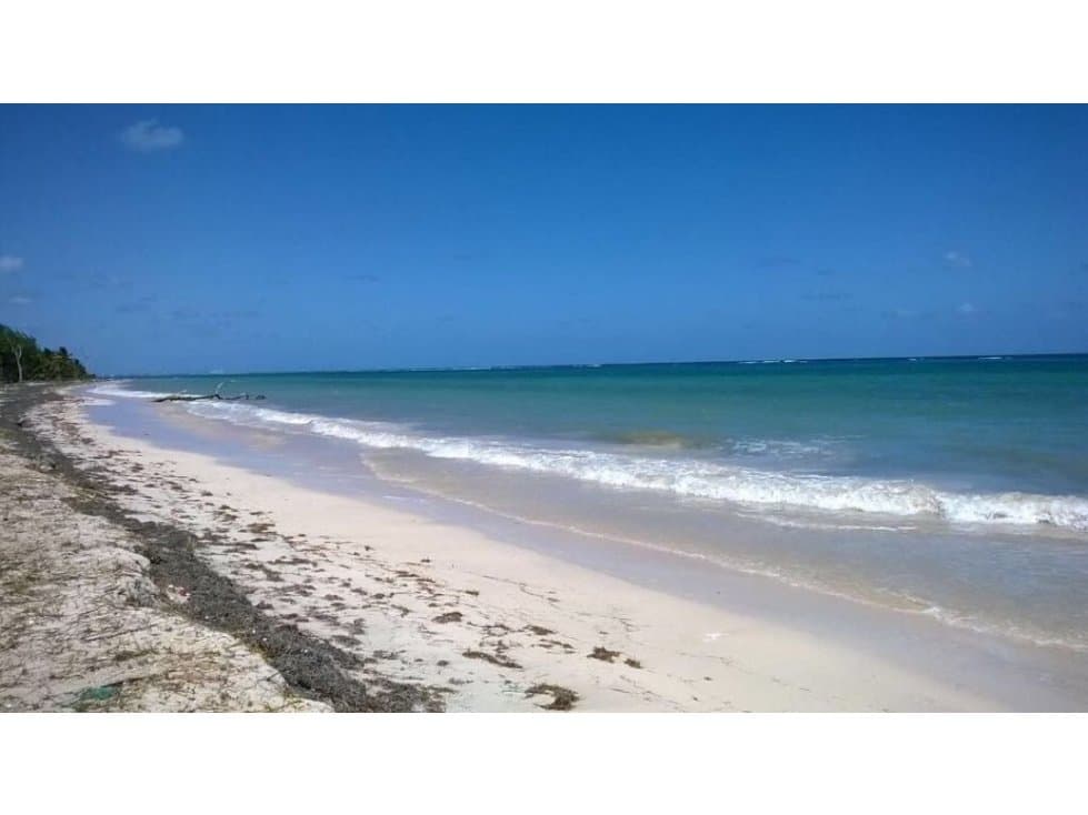 Mahahual-xcalak 4500m2 orilla de playa - 1