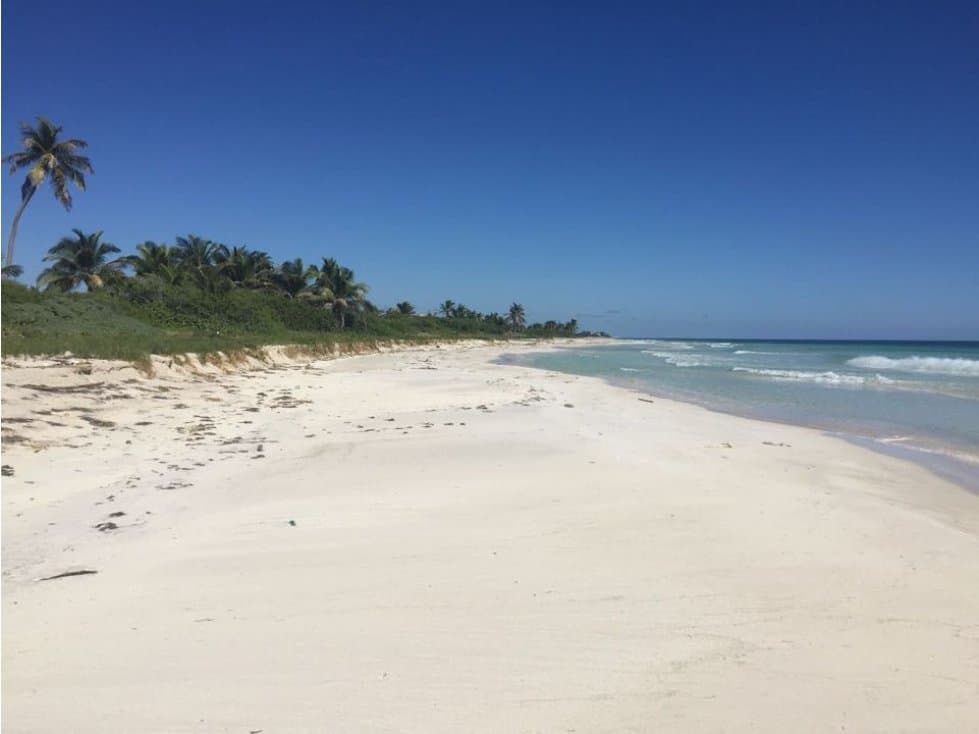 Mahahual-Xcalak 54x115 orilla de playa . - 1