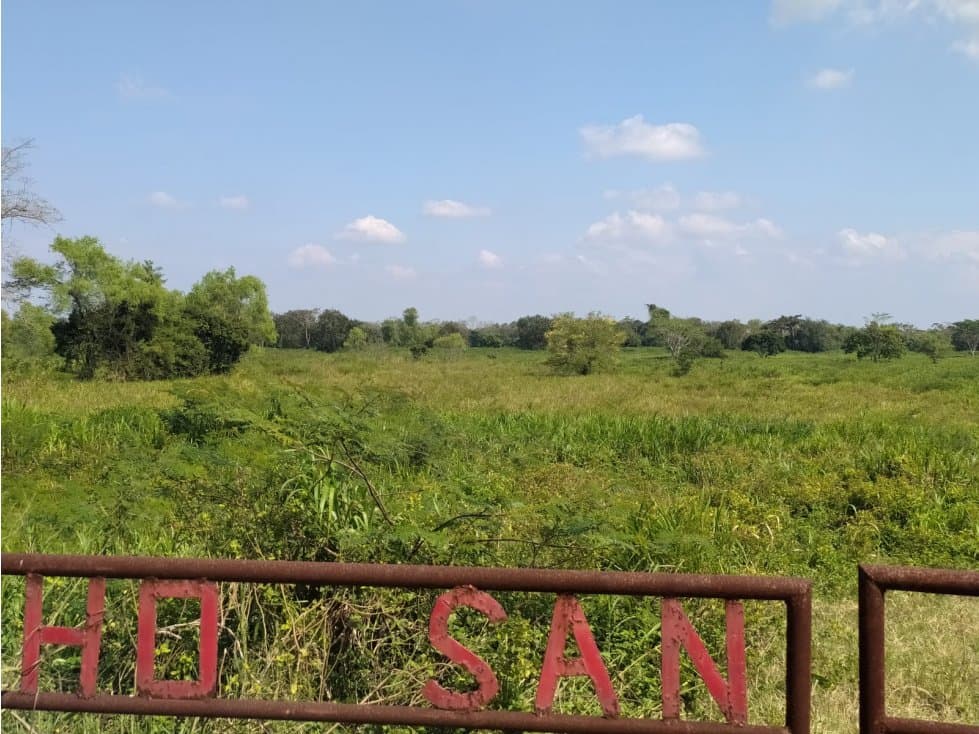 SE VENDE O SE RENTA BONITO RANCHO IDEAL PARA SEMBRAR PALMA DE ACE - 1