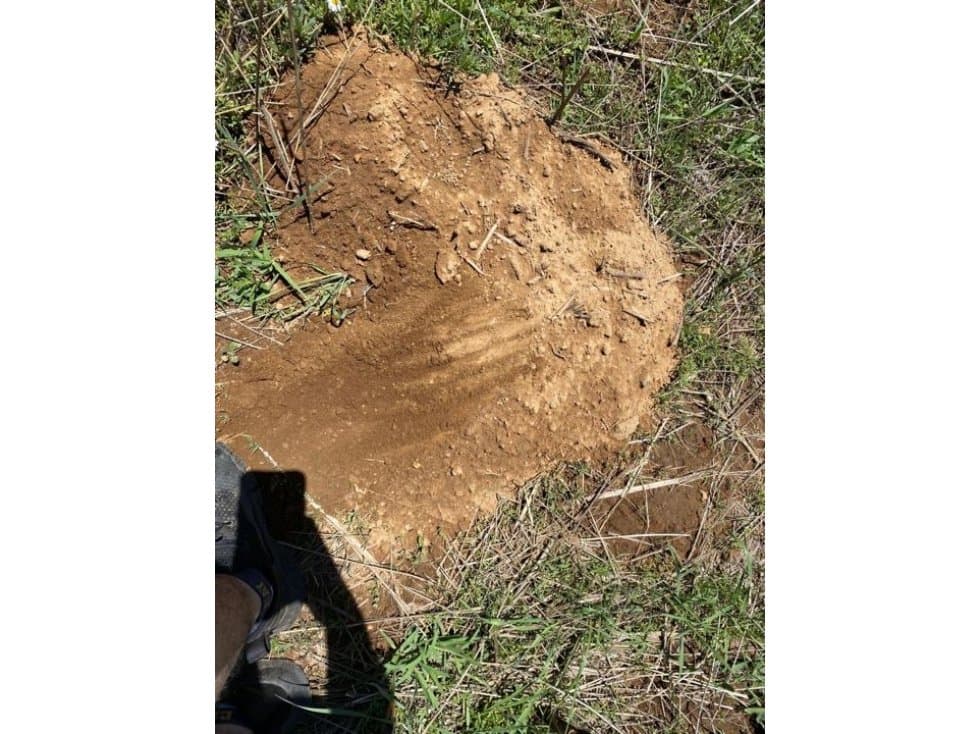 TERRENO CERCA DE ZACAPU PARA HUERTA DE AGUACATE - 1
