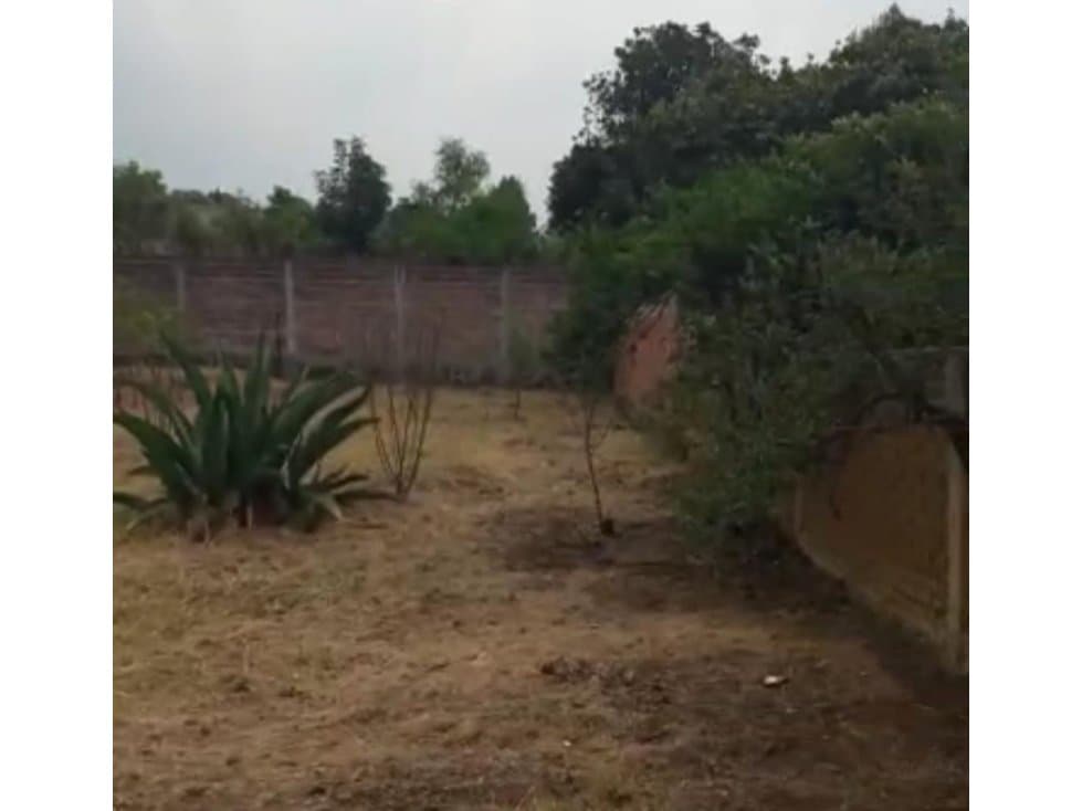 Terreno con excelente ubicación - 1