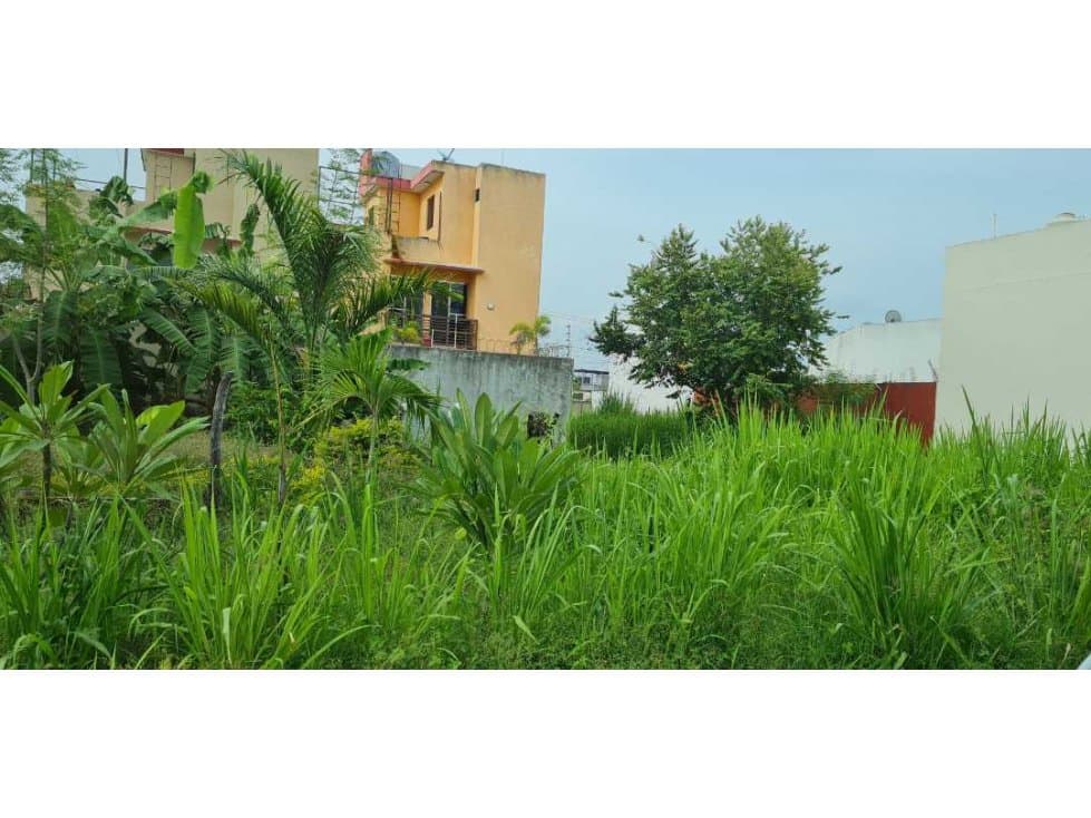TERRENO EN VENTA L20 BRISAS DEL CARRIZAL - 1