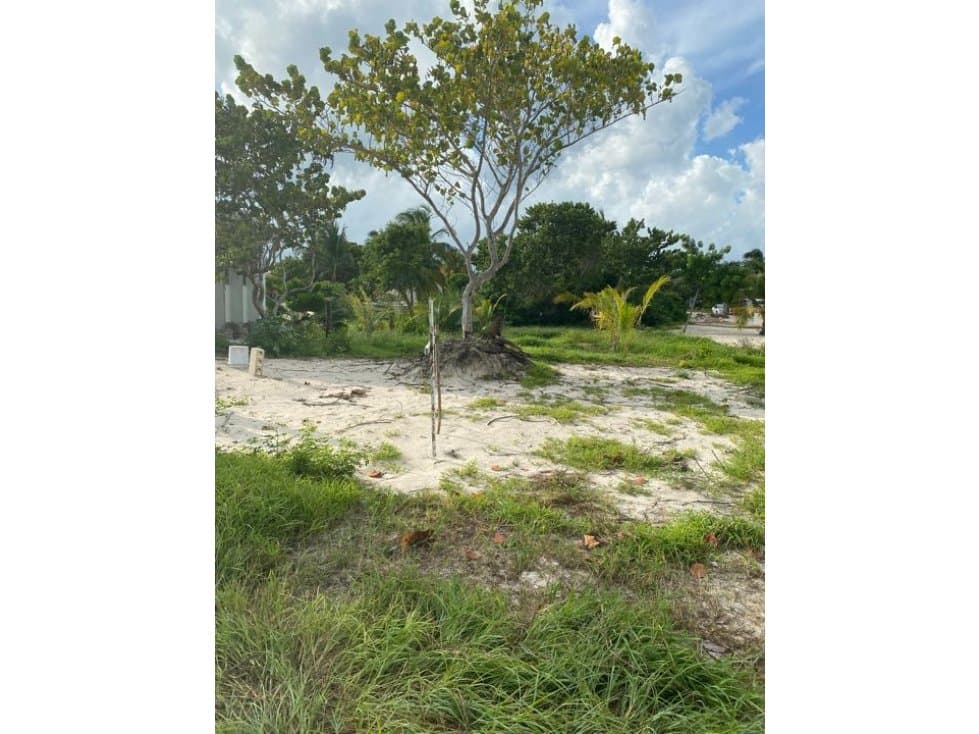 Terreno Chelem yucatan .orilla carretera 281.1 - 1