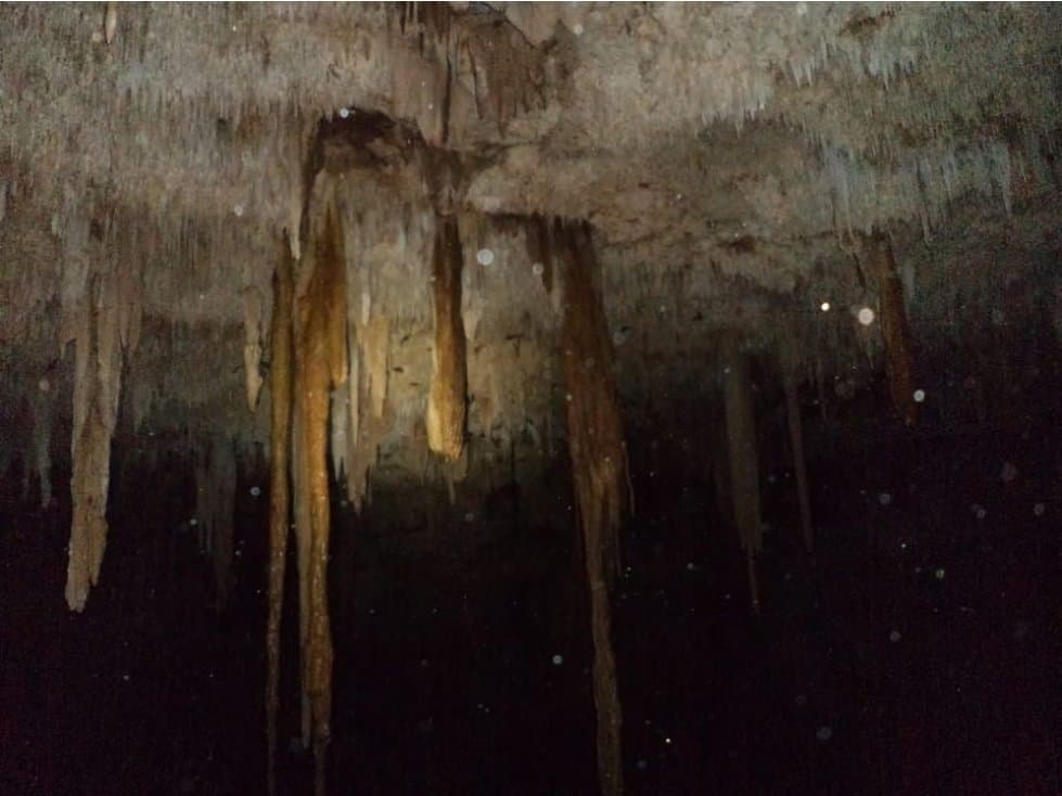 Terreno Yalcoba yucatan 52hect.con cenote cerca valladolid - 1