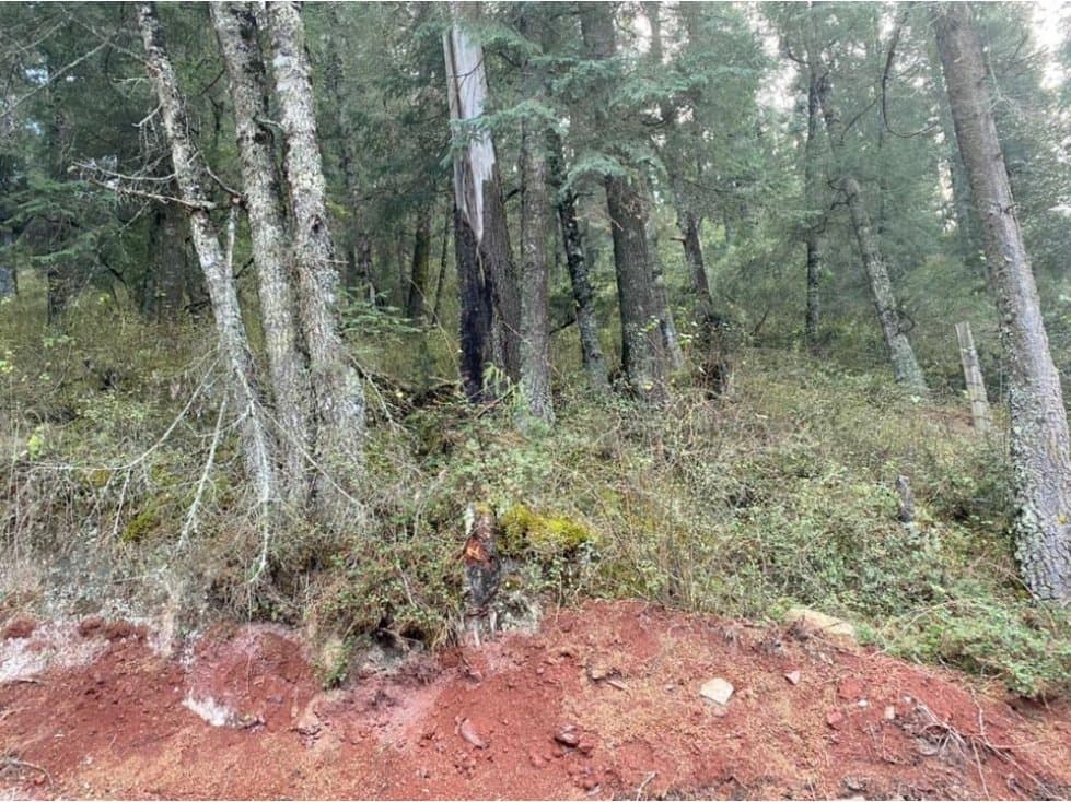 Venta de lotes rústicos campestres en Mineral del Monte, Hgo - 1