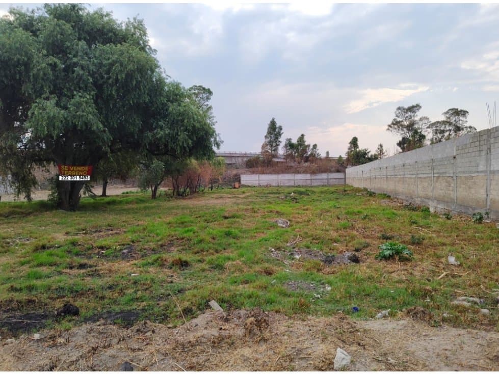 VENTA DE TERRENO AMPLIO EN NUEVA ESPERANZA, ZACATELCO - 1