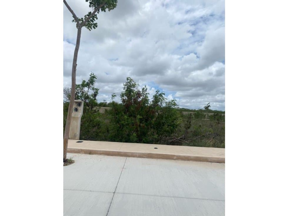 Venta terreno privada Unica carretera Progresó Yucatan - 1