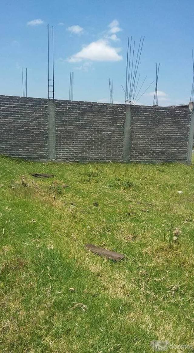 TERRENO EN RENTA EN PUEBLO CANDELARIA TLAPALA, CHALCO - 1