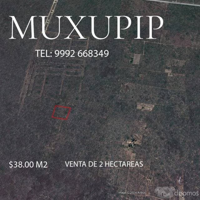 venta de 2 hectareas en muxupip - 1