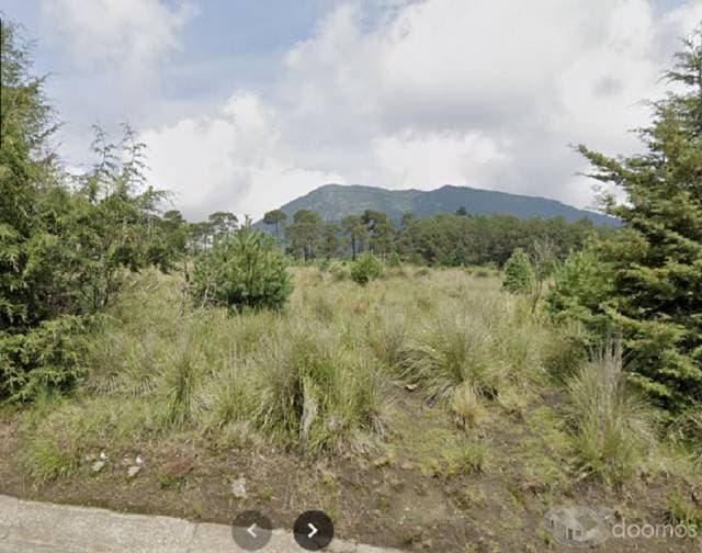 Tu refugio natural al sur de la ciudad, terreno en Carretera Xalatlaco – El Ajusco - 1
