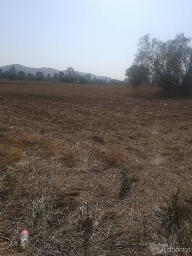 SE VENDE TERRENO A LA ALTURA DEL INDIO DE TEXCOCO - 1
