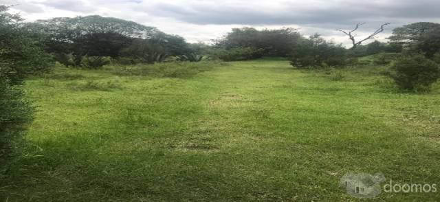 VENTA DE TERRENO ECONÓMICO - 1