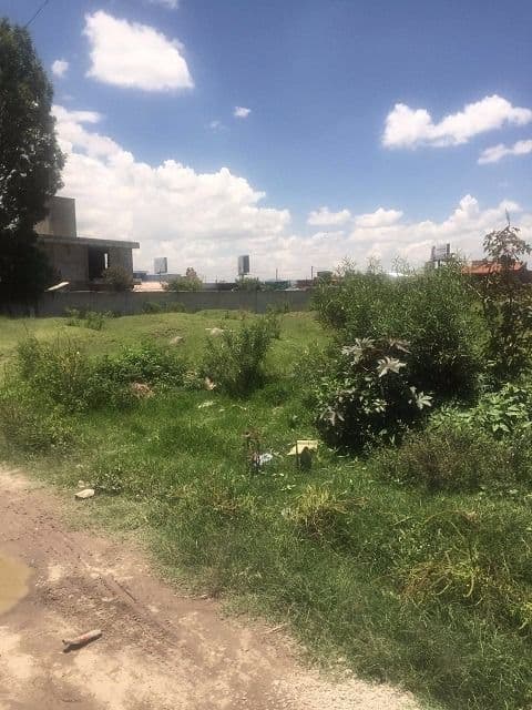 TERRENO EN VENTA SAN BERNARDINO TLAXCALANCINGO-CAMINO STA CLARA OCOYUC - 1