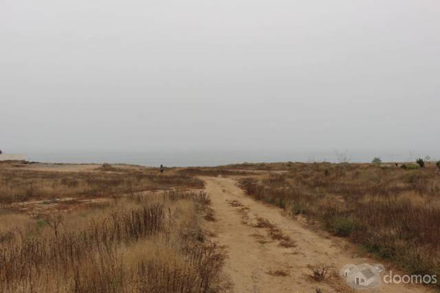 Venta de Terreno frente al mar, Popotla, Rosarito, 2 HA — foto 4