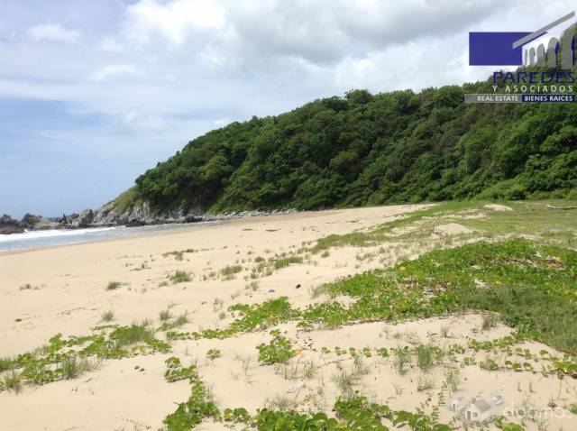 T547 Venta de Terreno de 25000 m2 frente playa larga Zihuatanejo para desarrollar - 4
