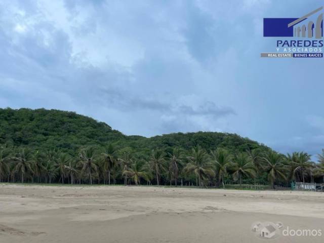 T547 Venta de Terreno de 25000 m2 frente playa larga Zihuatanejo para desarrollar - 5