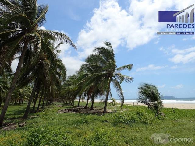 T547 Venta de Terreno de 25000 m2 frente playa larga Zihuatanejo para desarrollar - 7