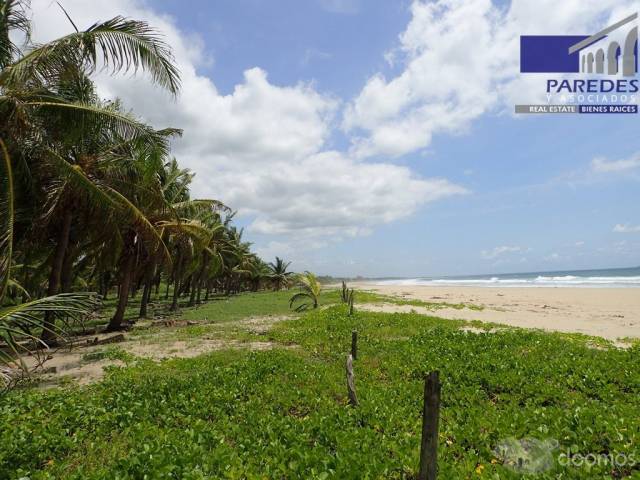 T547 Venta de Terreno de 25000 m2 frente playa larga Zihuatanejo para desarrollar - 8