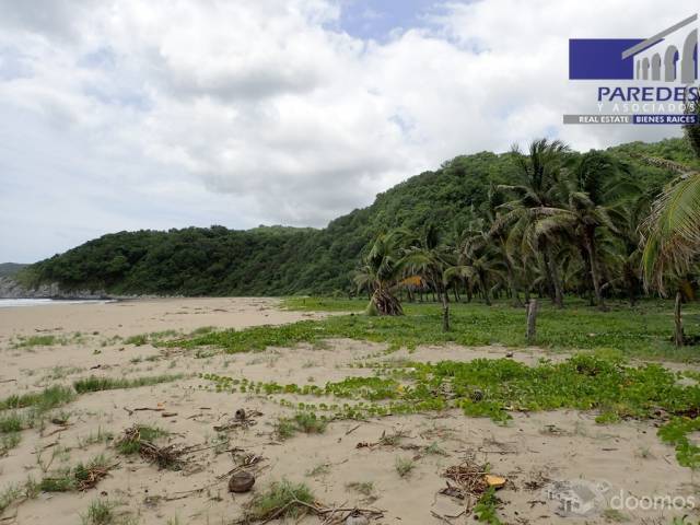 T547 Venta de Terreno de 25000 m2 frente playa larga Zihuatanejo para desarrollar - 9