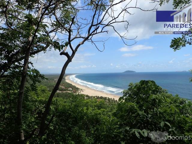 T547 Venta de Terreno de 25000 m2 frente playa larga Zihuatanejo para desarrollar - 10