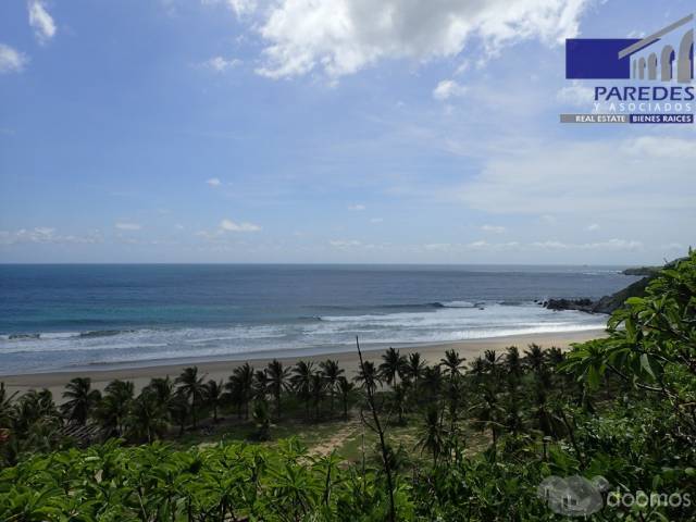 T547 Venta de Terreno de 25000 m2 frente playa larga Zihuatanejo para desarrollar - 11