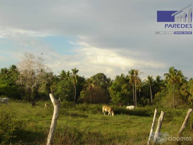 T549 14 hectareas en Venta en Acapulco Punta Diamante zona tres palos - 6