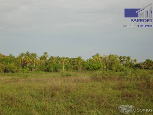 T549 14 hectareas en Venta en Acapulco Punta Diamante zona tres palos - 7