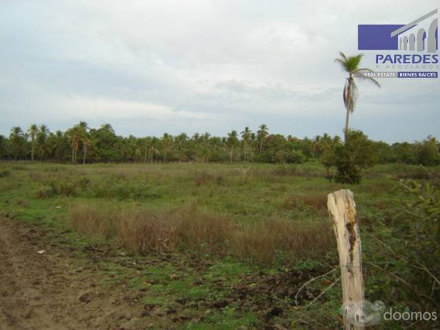T549 14 hectareas en Venta en Acapulco Punta Diamante zona tres palos - 8