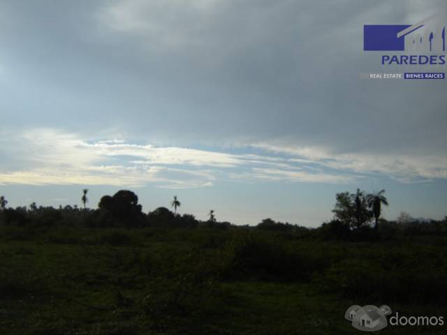 T549 14 hectareas en Venta en Acapulco Punta Diamante zona tres palos - 9