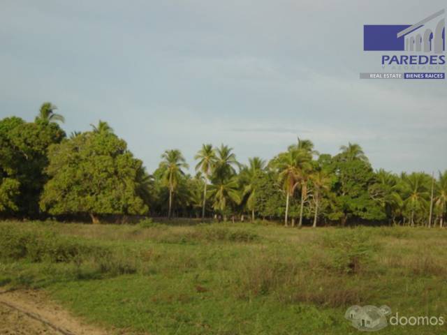 T549 14 hectareas en Venta en Acapulco Punta Diamante zona tres palos - 10