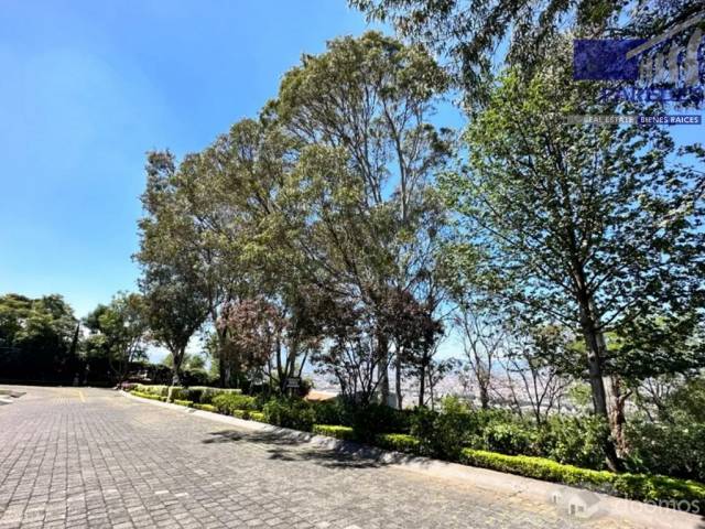T514 Venta de Terreno 1000 m2 a una cuadra de la UVAQ en Morelia Mich — foto 2